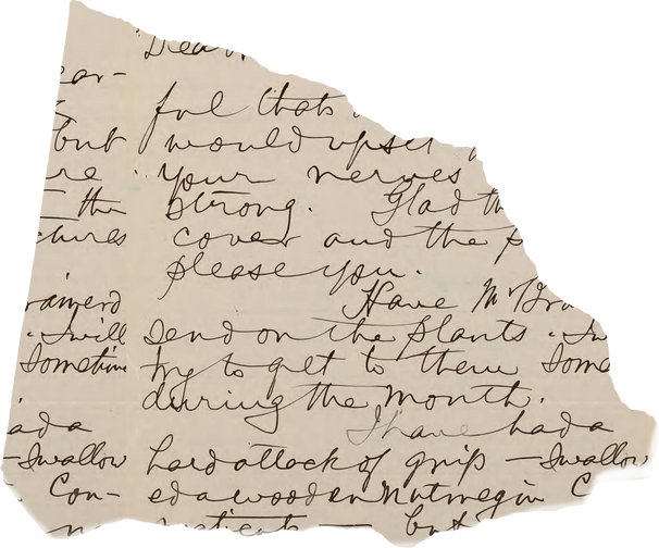 Collage vintage ripped paper clipart